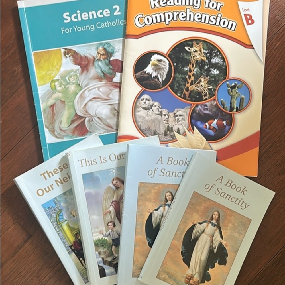 Catholic school books 2nd grade seton.  (DISCOUNT: 3/$20)